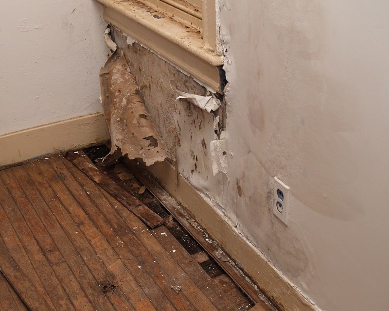 What Are the Signs and Symptoms of Water Damage?